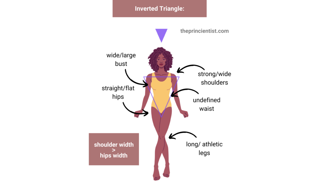 body shapes explained: what body shapes exist? - the inverted triangle body